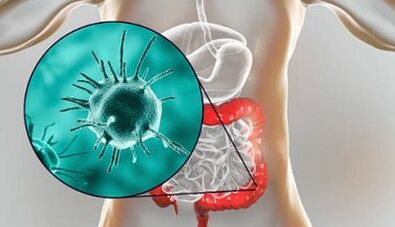Quels tests passer pour les parasites