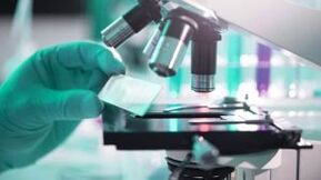 Résultats des tests pour les parasites